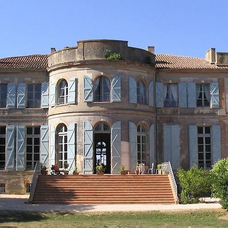 Chateau De Clermont-Saves L'Isle-Jourdain (Gers) Ngoại thất bức ảnh