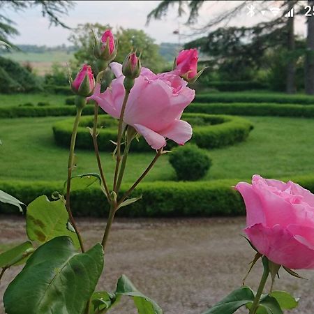Chateau De Clermont-Saves L'Isle-Jourdain (Gers) Ngoại thất bức ảnh