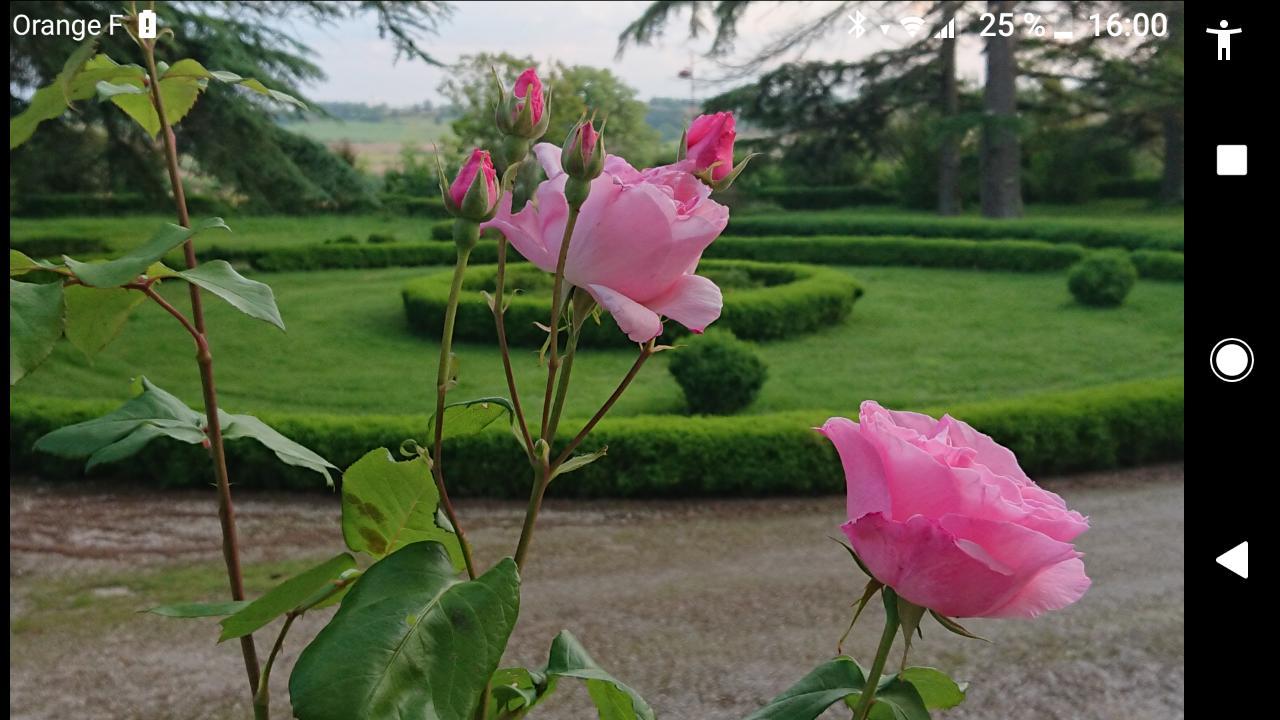 Chateau De Clermont-Saves L'Isle-Jourdain (Gers) Ngoại thất bức ảnh